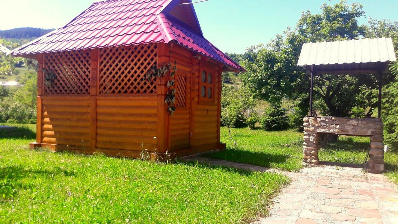 смерековий двір Country house